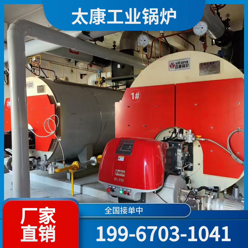 安顺低氮锅炉